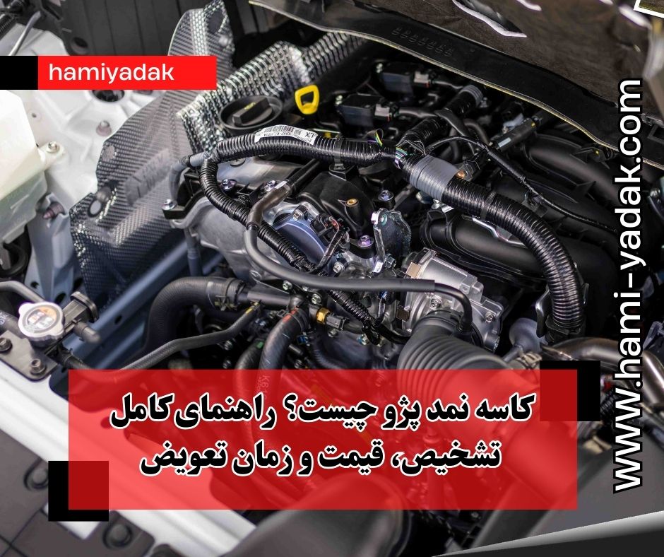 کاسه نمد پژو چیست؟ راهنمای کامل تشخیص، قیمت و زمان تعویض