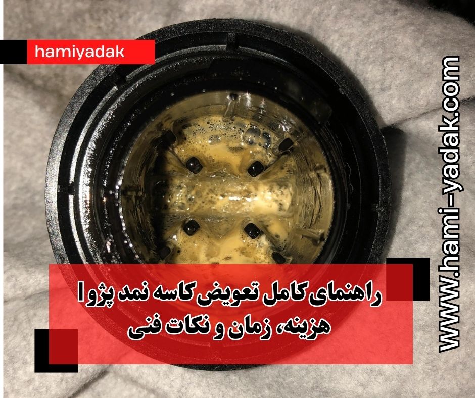راهنمای کامل تعویض کاسه نمد پژو | هزینه، زمان و نکات فنی