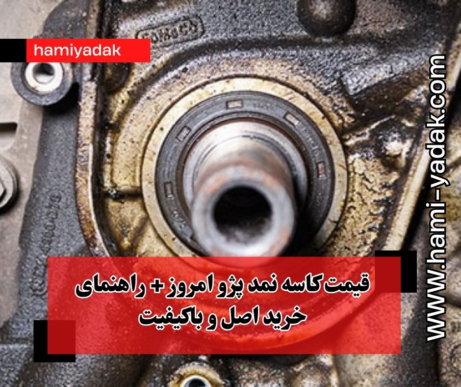 قیمت کاسه نمد پژو امروز + راهنمای خرید اصل و باکیفیت